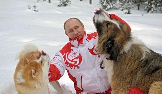 Ȼս壬Ѱ·