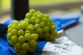 阳光玫瑰的喜与忧：“千年等一回”的葡萄，能火过三年吗？图片