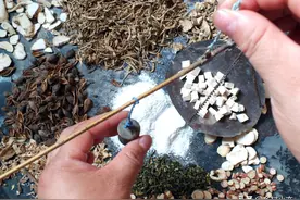 猪场必备的中药针剂有哪些？它对哪一种猪病最为敏感图片