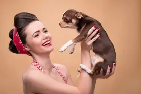 你知道吗？为什么你家的狗狗会偏瘦？图片