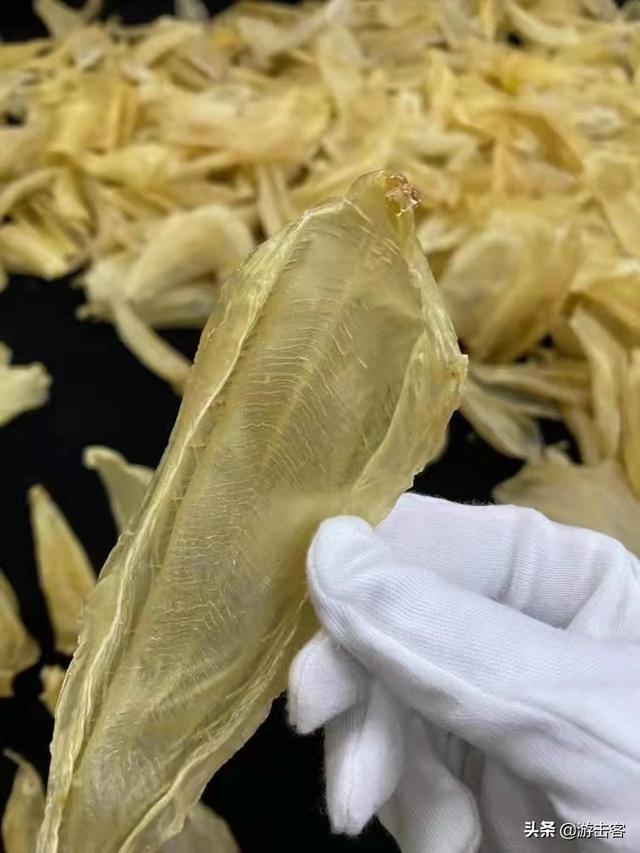 印尼花胶多少钱一斤 2026年印尼花胶值得买吗