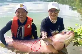 天元邓刚斩获百斤巨青，引钓友怀疑：深扒细节，能否实锤他作假？图片