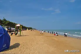 假日海滩阳光、沙滩、椰树相映成趣，构成一幅美丽动人的自然画面图片