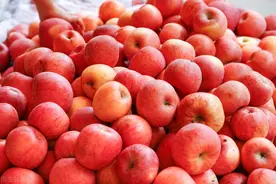 为什么说苹果是“水果之王”？图片