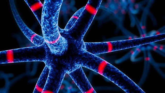 氨基酸代谢疾病，患病原因是多样性的，临床症状较明显，尽早治疗