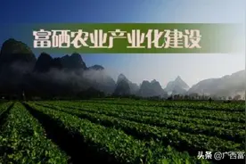 硒产业谋定功能性农业-万祥军：“两会”提案推农业大健康图片