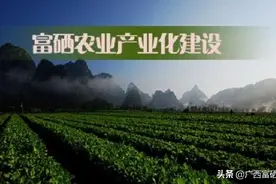 硒产业谋定功能性农业-万祥军：“两会”提案推农业大健康图片