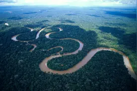 亚马逊热带雨林到底有多恐怖？看似生物天堂，实则是人类禁区图片
