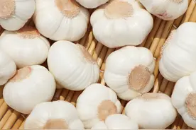 腌糖蒜，放糖不是最重要的，放入这2味料才能酸甜脆爽，长久保存图片