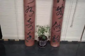 竹无俗韵，梅有奇香——松竹梅。老陕李林书并绘图片