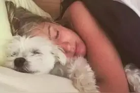 如果你睡着后，你家狗狗会做这6件事，证明没白养图片