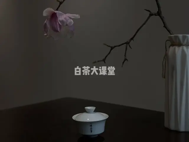 提神喝茶，安神也喝茶，白茶究竟有什作用？