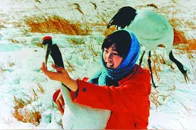 知青金训华：为抢救国家物资跳进洪水牺牲，好友为其守陵37年图片