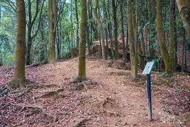 深圳又爆出一条超惊险登山野径，千万别一个人去图片