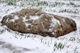 山西农村有一神奇土堆，千年来从不积雪，专家挖开后欣喜不已图片