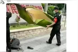大妈：沙琪玛，杀马特，玛沙琪，玛莎拉蒂，傻傻分不清楚，哈哈哈图片