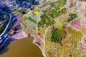 大美铁厂沟，千亩李花开！快来北碚铁厂沟观赏南方的“白雪”吧图片