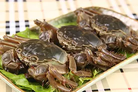 万亩蟹田，与稻共生图片