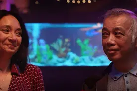 用户重压之下，社交软件WhatsApp终于决定开始注重隐私图片