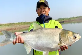 同是钓鱼大师，为何刘志强不屑于“盘老板”，邓刚却乐此不疲图片