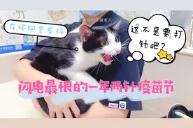 女友听说：脾气再爆的猫咪只要一打针就会怂成超粘人的小乖乖？图片