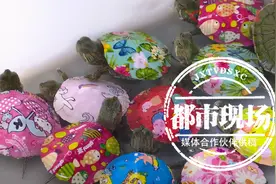为了吸引小朋友，商家给巴西龟贴上卡通贴纸，专家：影响人健康图片
