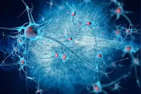 藏文科普 | 从肠道微生物到人体司令部图片