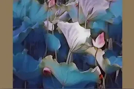 他们凭啥拍出荷的精彩图片