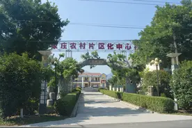 从贫困村到“明星村”，鄠邑区胡家庄村的“蝶变”之路图片