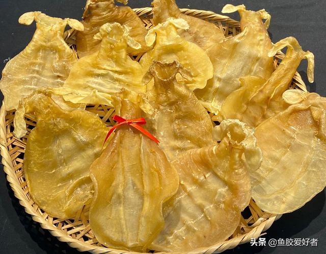 小土赤嘴鳘鱼胶 小赤嘴鳘鱼胶的功效