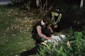 莞sir说防 | “醉猫”夜卧草地，太危险了！图片