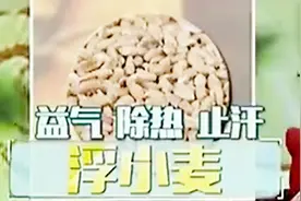 医生开讲：中医教你小妙招，三豆小麦汤，经常饮用去实火视频封面
