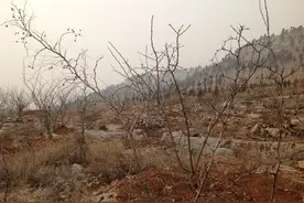 在山东枣庄，一个古墓累累的小山村竟然还有着一段传奇的革命历史图片