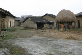 怀念生产队的牛屋图片