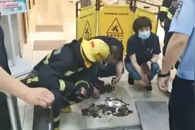 又一起！4岁男童搭扶梯，下一秒手指被夹断……这事一定要注意图片