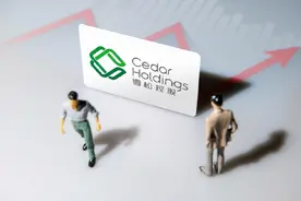 雪松发展遭立案调查：开盘即跌停，背后股东营收超2000亿图片