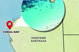 他晒出澳大利亚最蓝的海，蓝宝石一样璀璨，实在太漂亮了图片