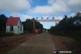 事发大庆：一家三口在公园游玩被牛群“围攻”？游客安全谁来保障？图片