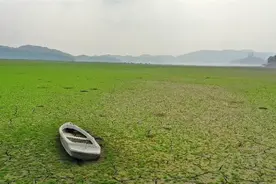 台湾中部限水 民众叫苦连天 | 与福建一水之隔的金门却饮水无忧图片