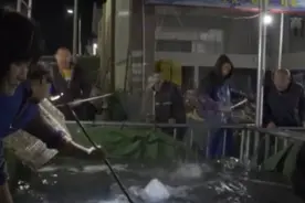 “五一比平时多卖两三倍”农村冷链物流让鱼鲜更“鲜活”图片