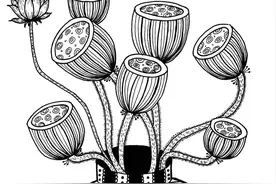 50种创意线描，用简单的笔画出超精美的画作，颜值好看又耐看图片