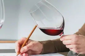 这样写品酒笔记，离大师又近了一步图片