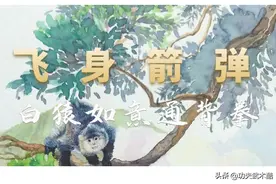 白猿如意通背拳之飞身箭弹招式与实战用法（中），防身健身兼具图片
