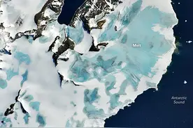 南极冰川突然广泛褪色，NASA紧急关注！分析：后果危及全世界图片