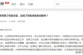 更换财务总监因公司财务有问题？歌尔股份：正常人事升迁图片