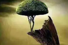 正在嫉妒你的人，会有这3个表现，细节不会骗你图片
