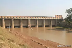 禹城：隋庄水沟的“怪物”传奇图片