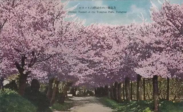八十五年前评出的“青岛十景”，你知道几个？