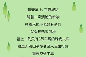 来不及解释了，赶快上车！！！图片
