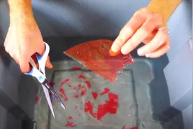 神奇的现象，玻璃放水里就“软”了，用剪刀都能剪开，你试过吗图片